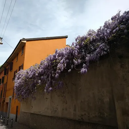 Apartment Malgrado House - Nigrisoli - Sant'orsola *